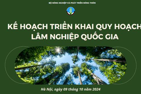 Hội nghị công bố Quy hoạch lâm nghiệp quốc gia thời kỳ 2021- 2030, tầm nhìn đến năm 2050