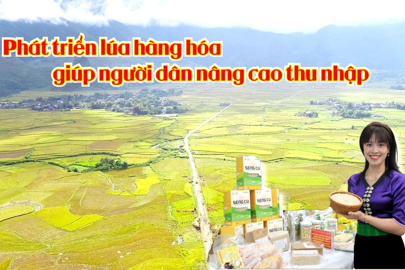 Kinh nghiệm của tỉnh Lai Châu trong thực hiện chủ trương của Đảng về phát triển nông nghiệp, nông dân, nông thôn gắn với xây dựng nông thôn mới